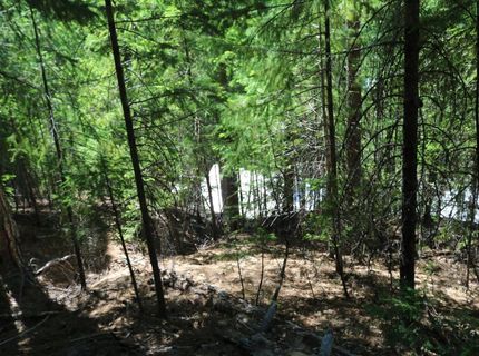 543 Main, Downieville, CA 95936 Photo