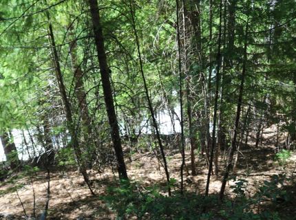 543 Main, Downieville, CA 95936 Photo