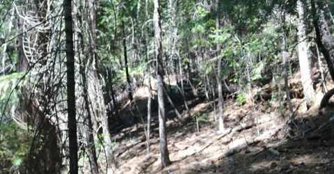 543 Main, Downieville, CA 95936 Photo