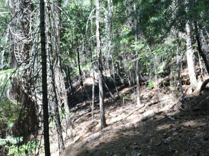 543 Main, Downieville, CA 95936 Photo