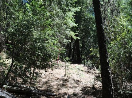 543 Main, Downieville, CA 95936 Photo
