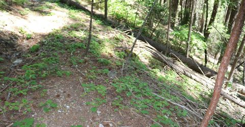 543 Main, Downieville, CA 95936 Photo