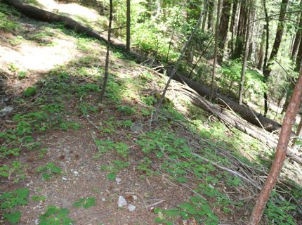 543 Main, Downieville, CA 95936 Photo