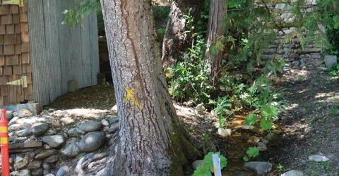 543 Main, Downieville, CA 95936 Photo