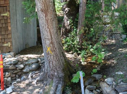 543 Main, Downieville, CA 95936 Photo