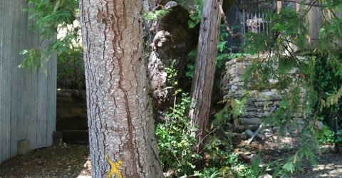 543 Main, Downieville, CA 95936 Photo