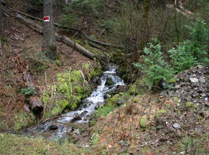 543 Main, Downieville, CA 95936 Photo