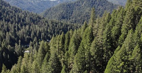 543 Main, Downieville, CA 95936 Photo