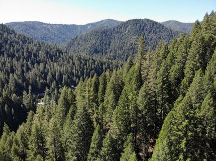 543 Main, Downieville, CA 95936 Photo