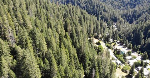 543 Main, Downieville, CA 95936 Photo