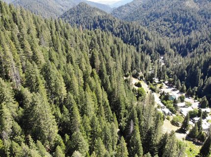 543 Main, Downieville, CA 95936 Photo