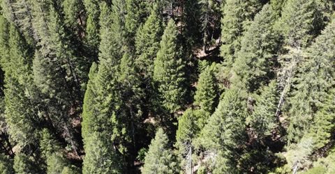 543 Main, Downieville, CA 95936 Photo