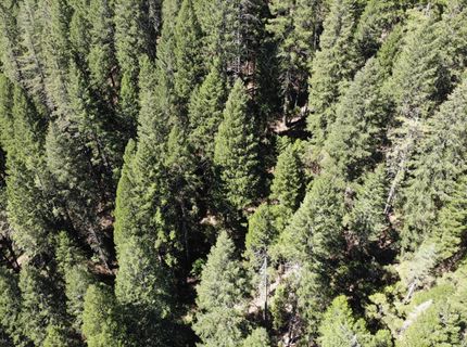 543 Main, Downieville, CA 95936 Photo