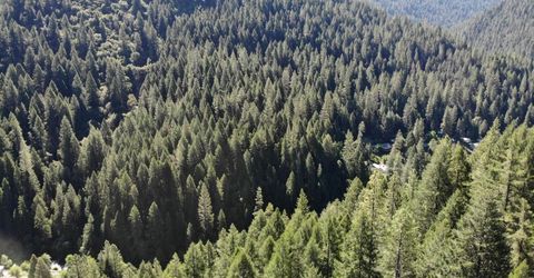 543 Main, Downieville, CA 95936 Photo