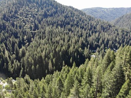 543 Main, Downieville, CA 95936 Photo