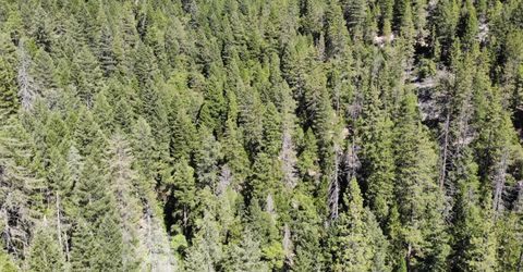 543 Main, Downieville, CA 95936 Photo