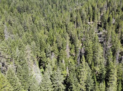 543 Main, Downieville, CA 95936 Photo