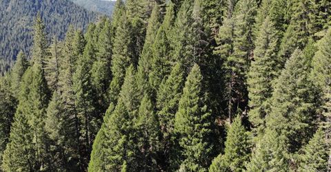 543 Main, Downieville, CA 95936 Photo