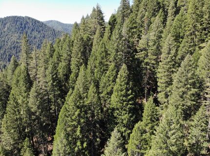 543 Main, Downieville, CA 95936 Photo