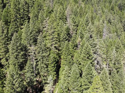 543 Main, Downieville, CA 95936 Photo