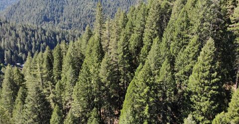 543 Main, Downieville, CA 95936 Photo
