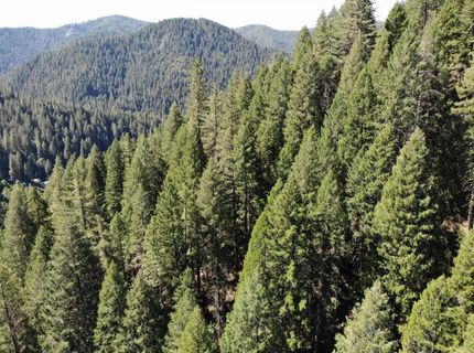 543 Main, Downieville, CA 95936 Photo