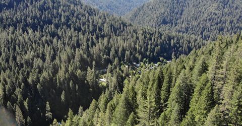 543 Main, Downieville, CA 95936 Photo