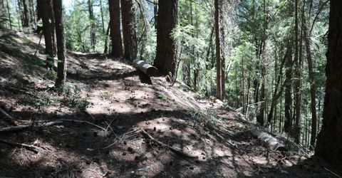 543 Main, Downieville, CA 95936 Photo