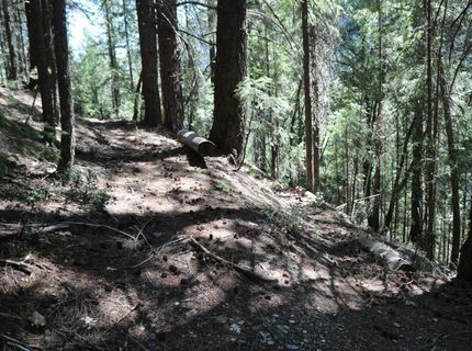 543 Main, Downieville, CA 95936 Photo