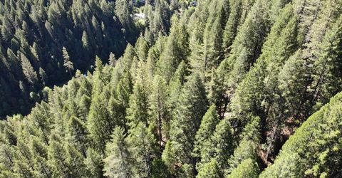 543 Main, Downieville, CA 95936 Photo