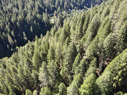 543 Main, Downieville, CA 95936 Photo