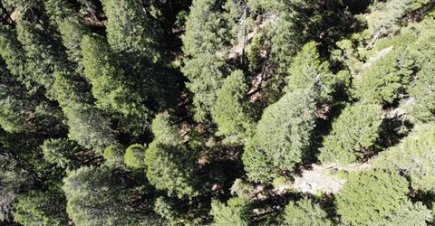 543 Main, Downieville, CA 95936 Photo