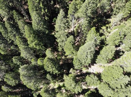 543 Main, Downieville, CA 95936 Photo