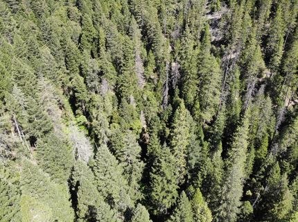543 Main, Downieville, CA 95936 Photo
