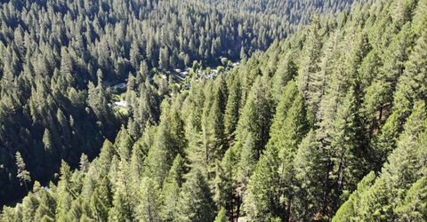 543 Main, Downieville, CA 95936 Photo