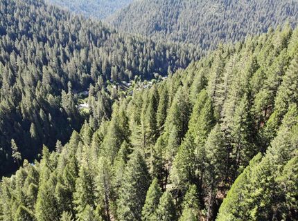 543 Main, Downieville, CA 95936 Photo