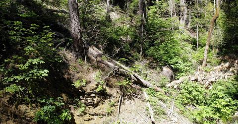 543 Main, Downieville, CA 95936 Photo