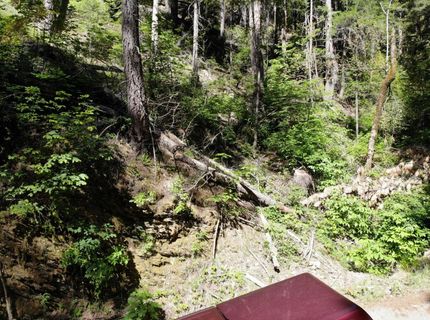 543 Main, Downieville, CA 95936 Photo