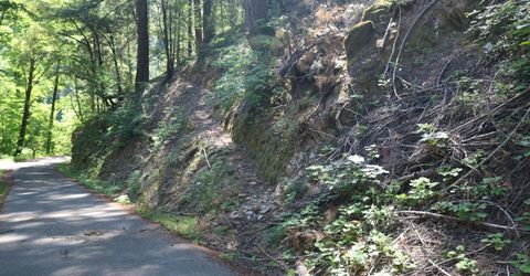 543 Main, Downieville, CA 95936 Photo