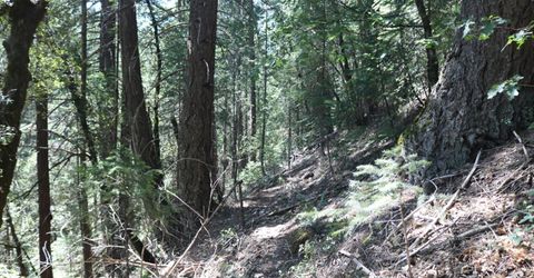 543 Main, Downieville, CA 95936 Photo