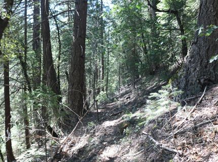 543 Main, Downieville, CA 95936 Photo