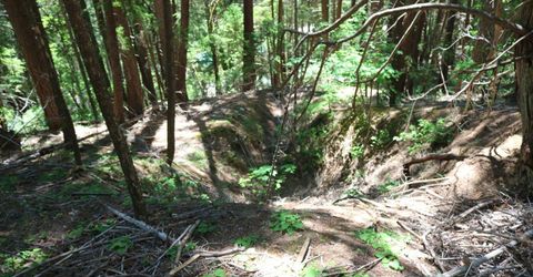 543 Main, Downieville, CA 95936 Photo