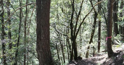 543 Main, Downieville, CA 95936 Photo