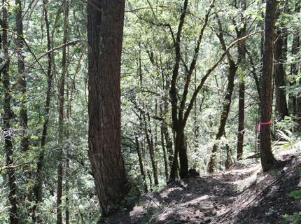 543 Main, Downieville, CA 95936 Photo