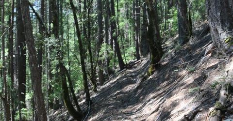 543 Main, Downieville, CA 95936 Photo