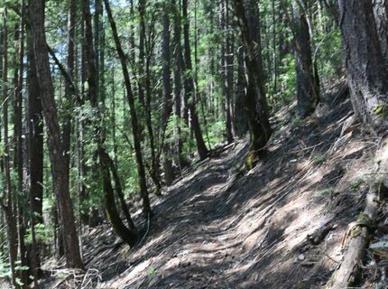 543 Main, Downieville, CA 95936 Photo