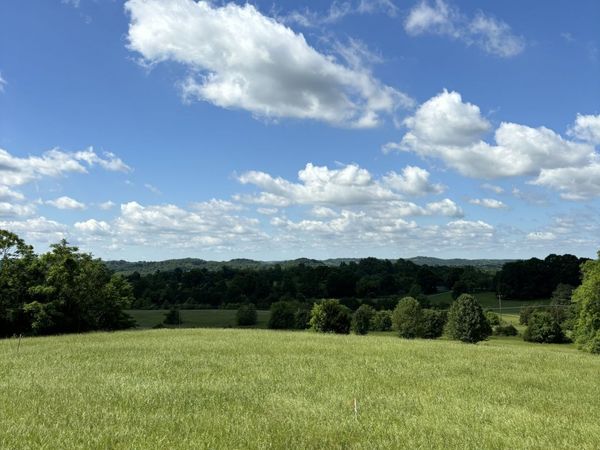 1065 Bugscuffle Road , Wartrace, TN 37183