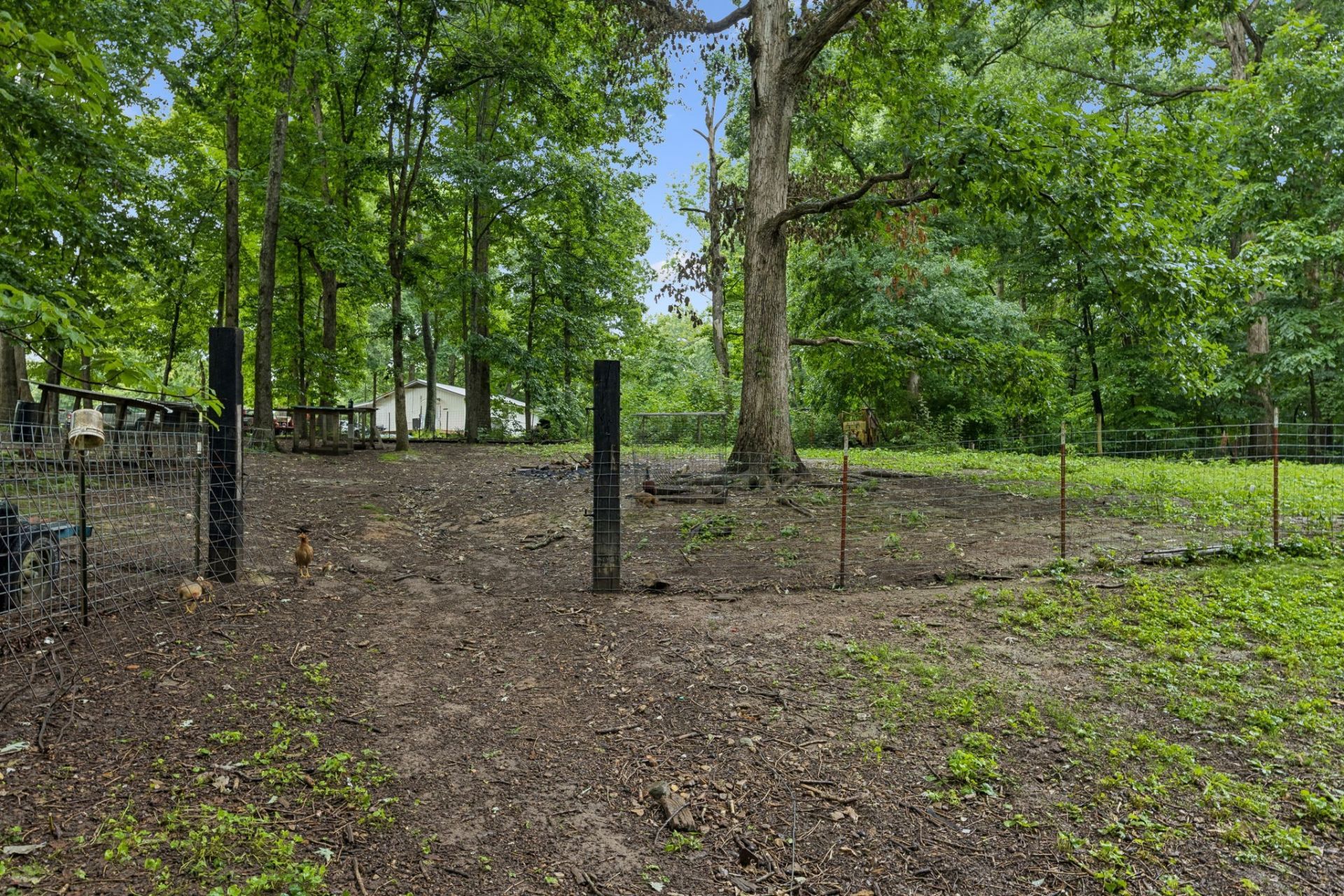 5849a Bending Chestnut Road , Franklin, TN 37064 Main Photo