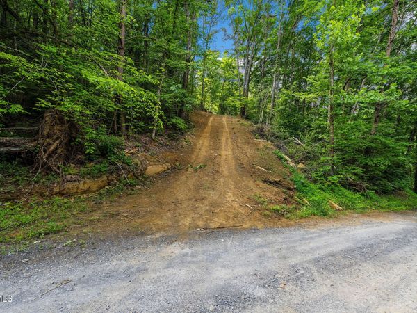 Tbd Longs Bend Road, Rogersville, TN 37857