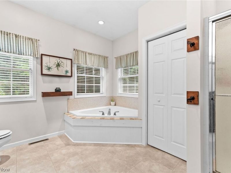 1 Cayuse Trail, Malvern, OH 44644 Photo 19
